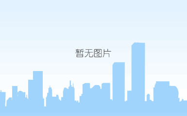 油压缓冲器之西捷克